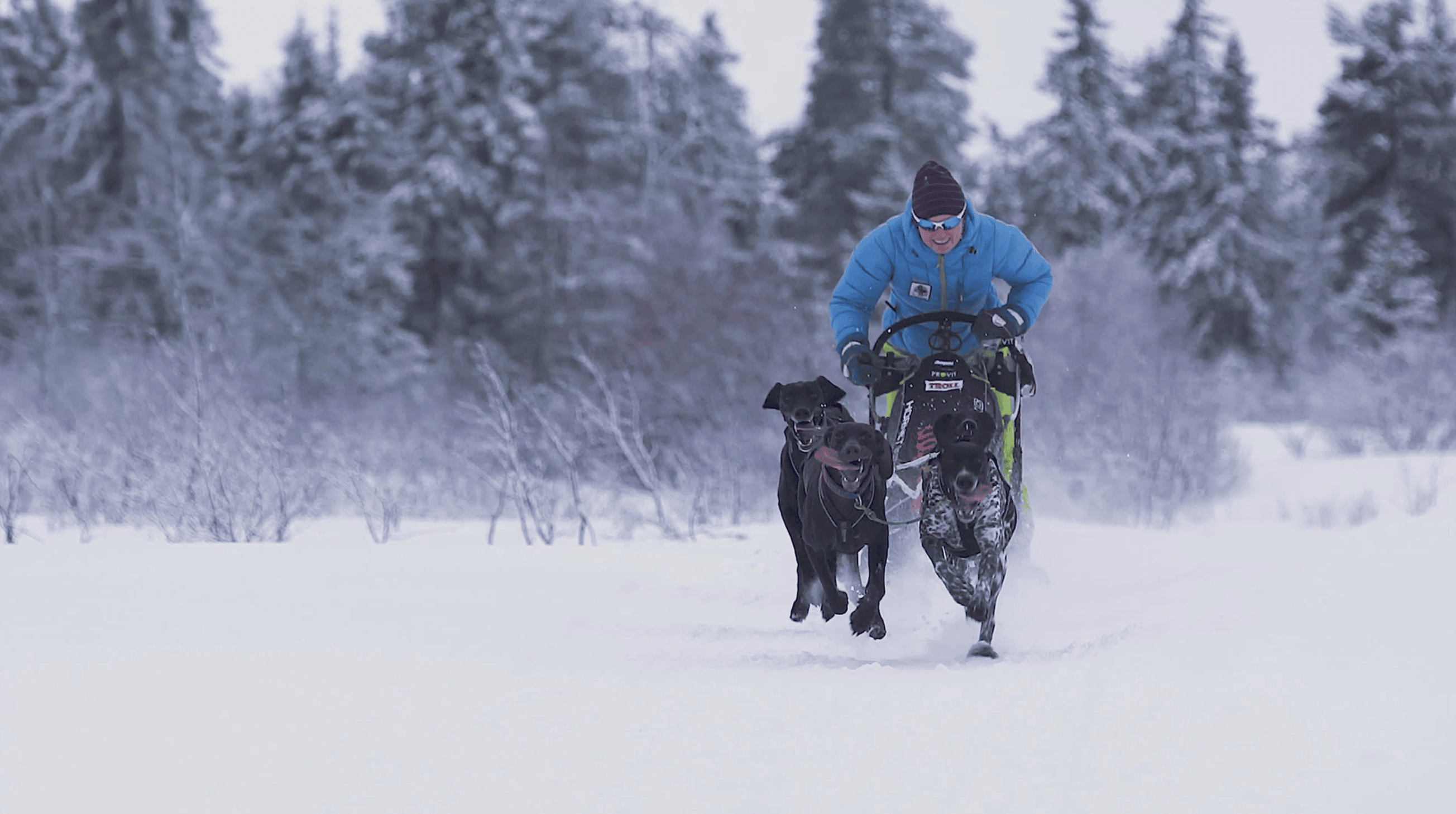 Trening med hund