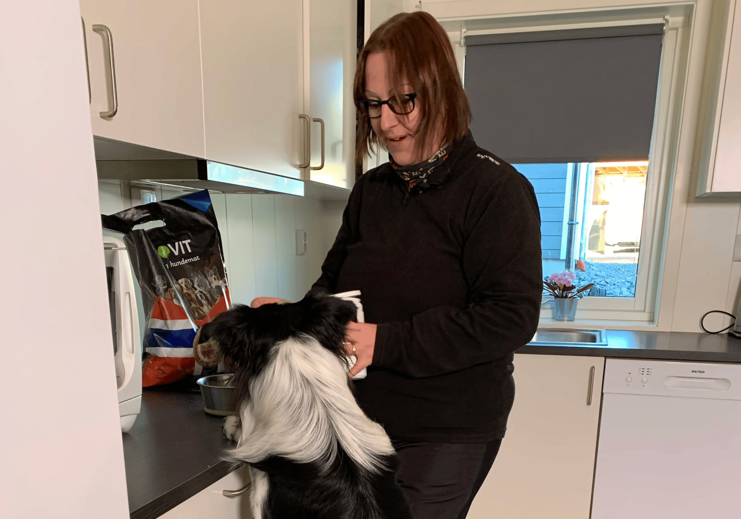 Hunden Plx fikk bedre mage med PROVIT Kosttilskudd