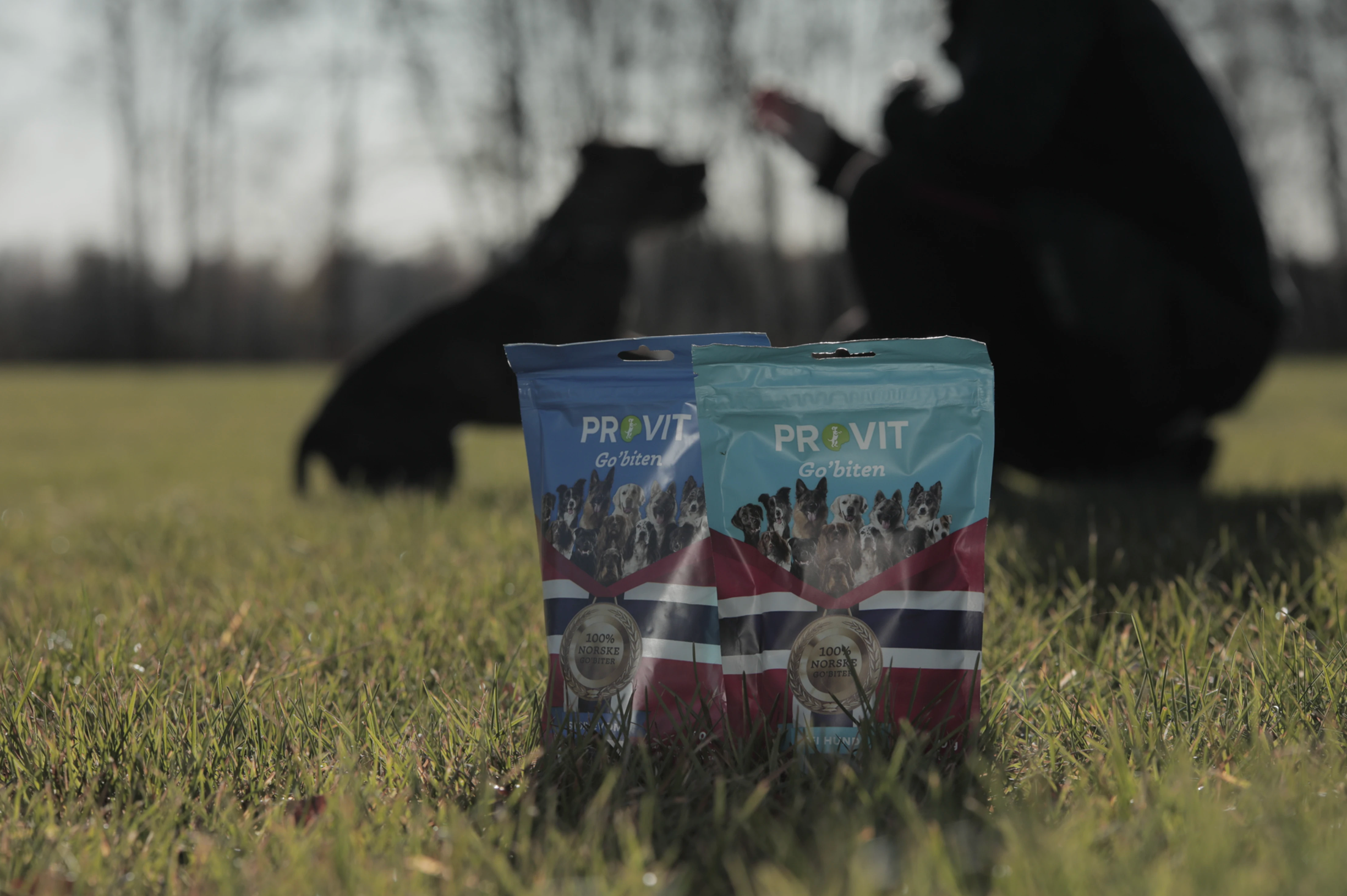 Go’biten: Styrk båndet mellom deg og hunden din
