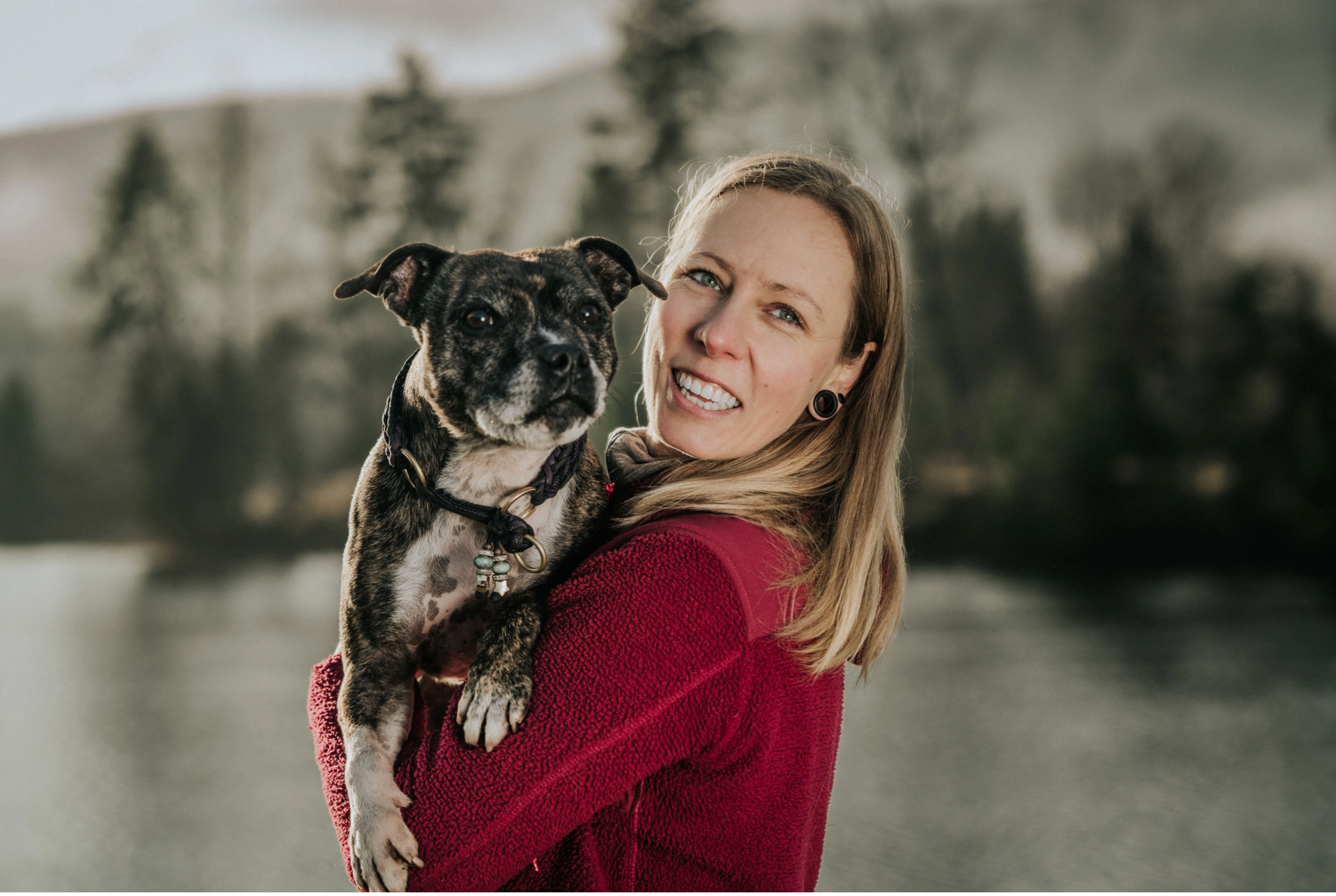 PROVIT Svinerull: Den perfekte førjulsgaven til hunden din!